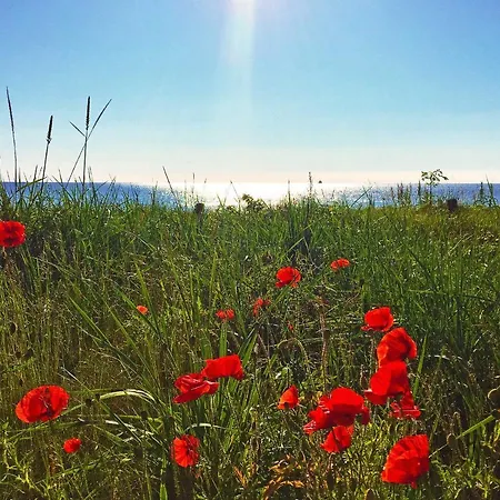 Апартаменты Prora - Wg 114 Mit Meerblick *