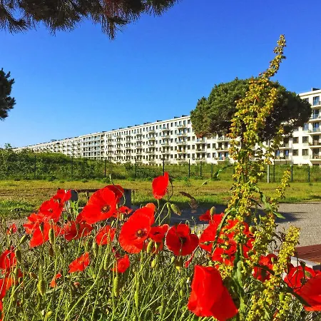 Appartement Prora - Wg 114 Mit Meerblick