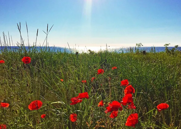 Lejlighed Prora - Wg 114 Mit Meerblick *